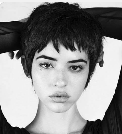 Coupe Courte Femme Cheveux Noir Pinterest