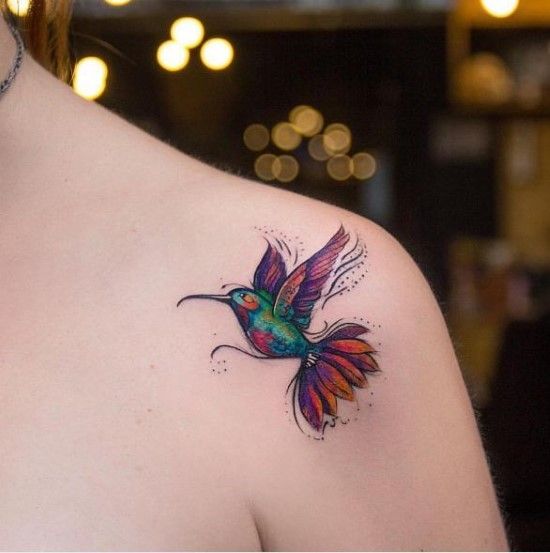 Colibri multicolore