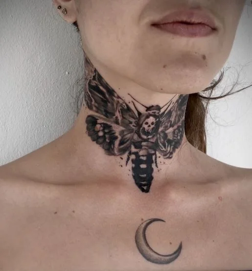 Papillon Sphinx & Lune