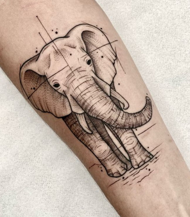 éléphant Graphique