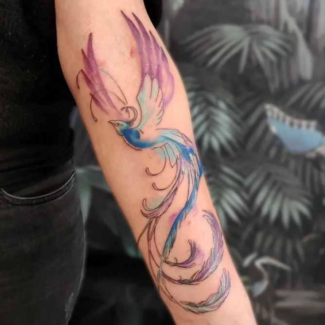 tatouage Phœnix aux multiples couleurs