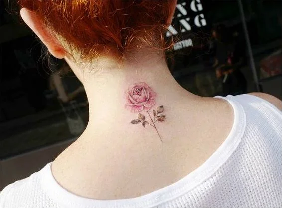 Pivoine Colorée