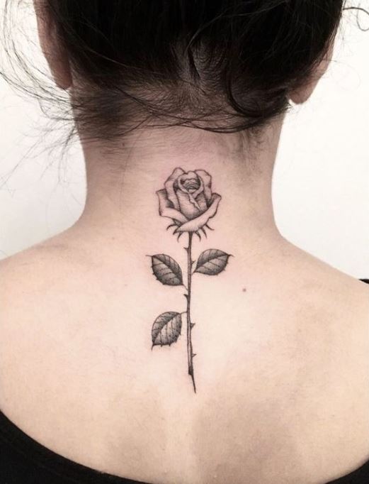 Rose Noire Avec Des épines