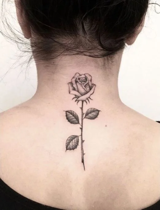 Rose Noire Avec Des épines