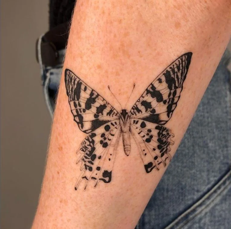 Papillon à Motifs Noirs Sur L'avant Bras