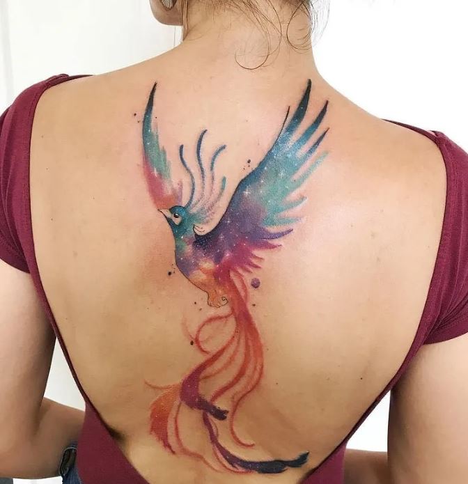 tatouage Phoenix étoilé
