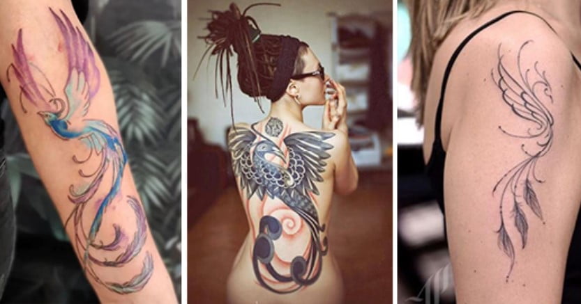 Découvrez votre salon de tatouage spécialisé dans les tatouages phœnix et  découvrez sa signification à Gradignan proche de Bordeaux et du bassin  dArcachon en Gironde  Tatoueur vers Bordeaux  Lys Tattoo