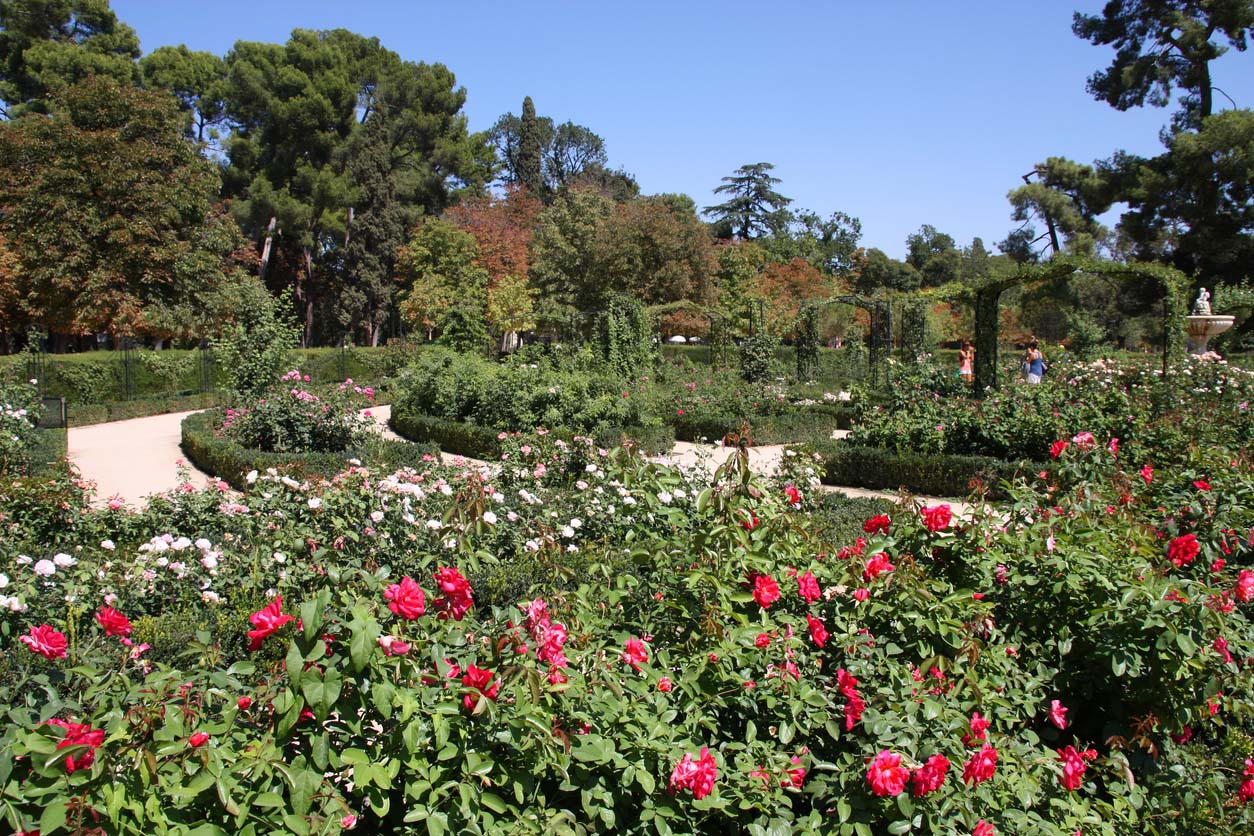 Jardin botanique de Madrid