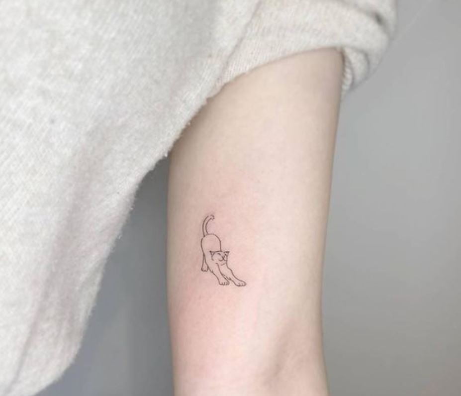 Tatouage Minimaliste étirement De Chat 