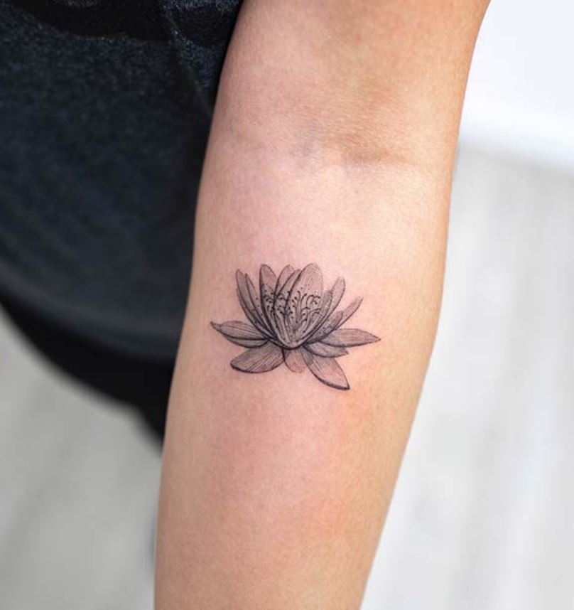  Tatouage Minimaliste Fleur De Lotus Artistique Gris