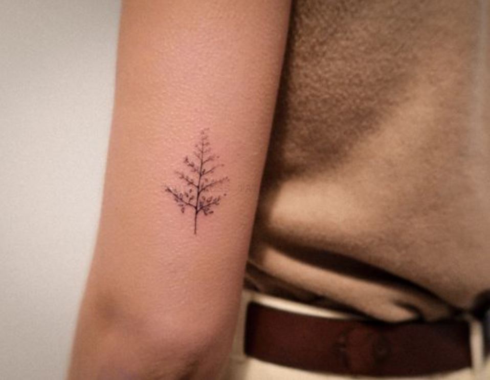 Tatouage Femme Minimaliste Arbre Sur Le Bras 