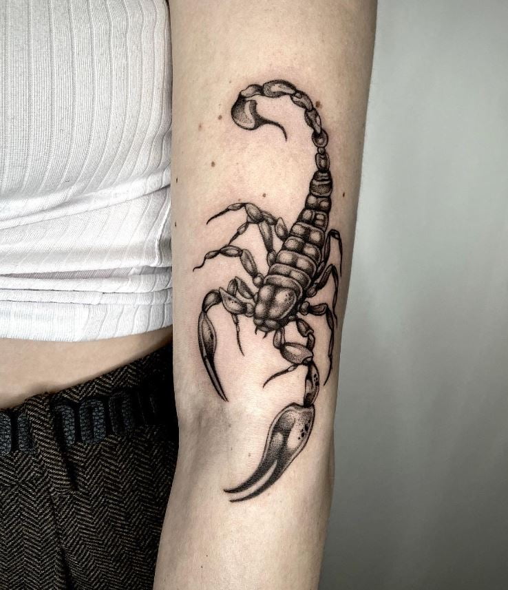 Tatouage Signe Astrologique Scorpion Sur Le Bras 