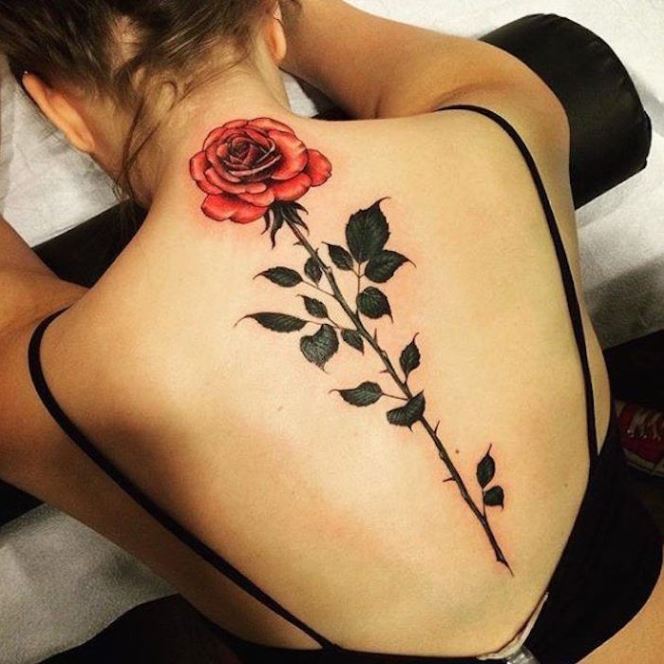 tatouage réaliste Rose épinneuse