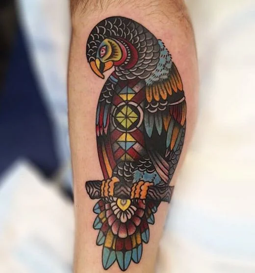 Un Perroquet Multicolore