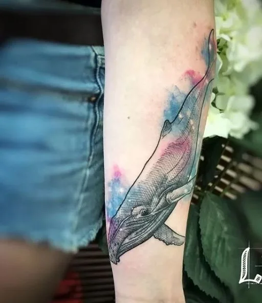 Baleine