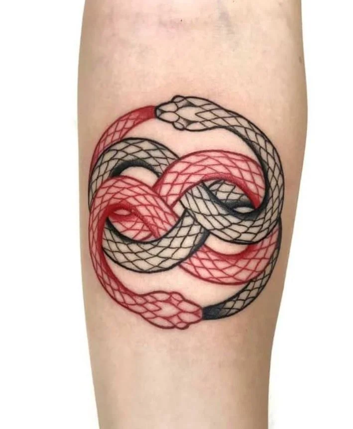 Tatouage Duo De Serpent Ouroboros Sur L'avant Bras