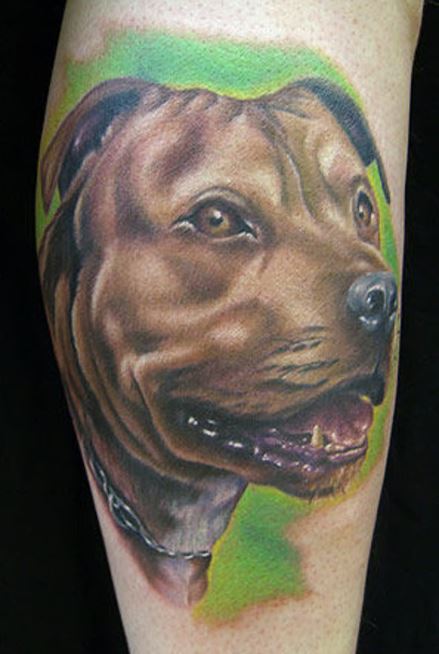 Chien En Couleur 