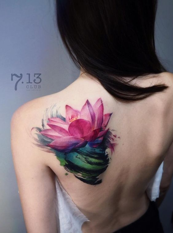 Lotus Multicolore