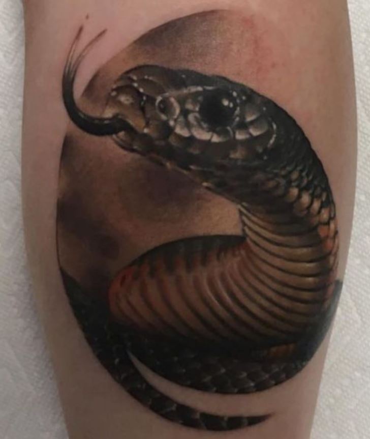 Tatouage De Serpent Cadré