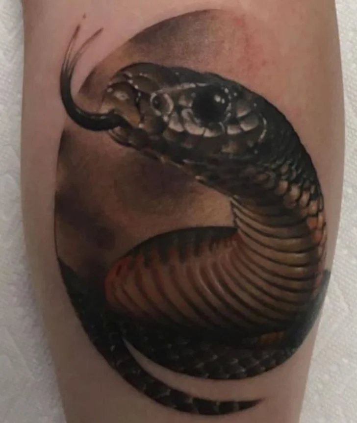 Tatouage De Serpent Cadré