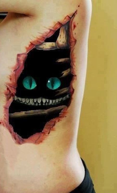 Chat Du Cheshire 