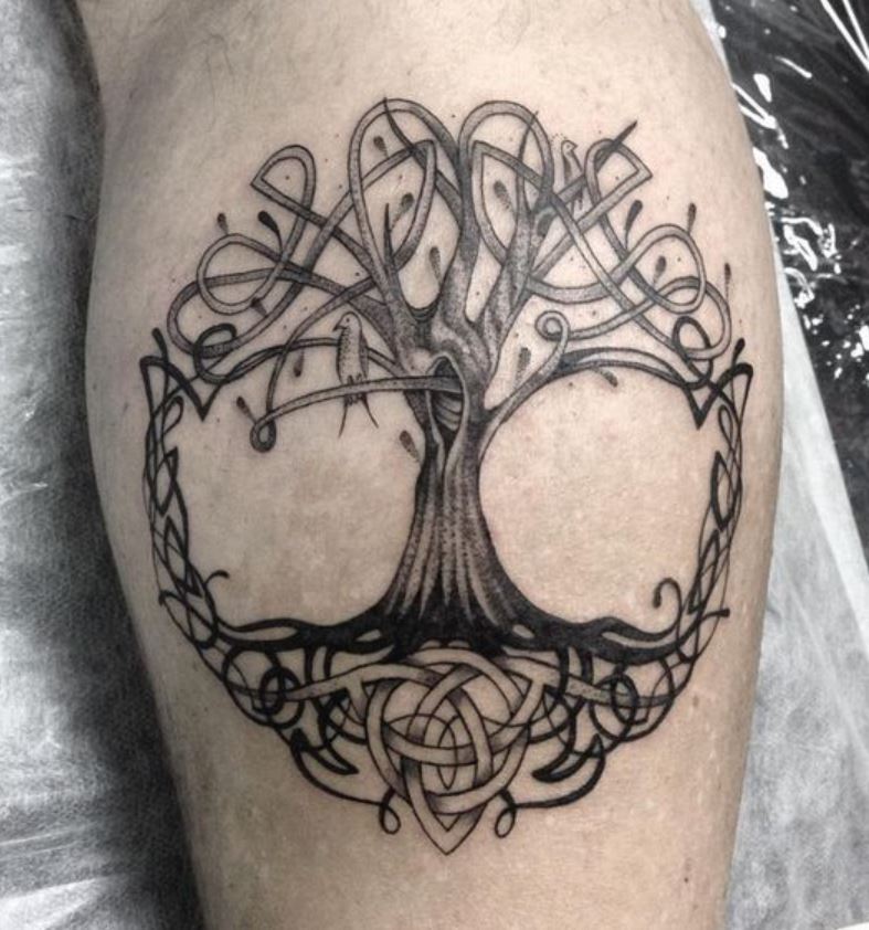 Tatouage Arbre De Vie Celtique Sur Le Mollet