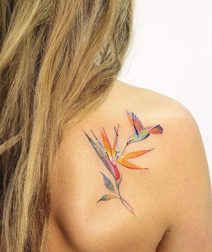 Tatouage Oiseau Femme Colibri Et Strelitzia 