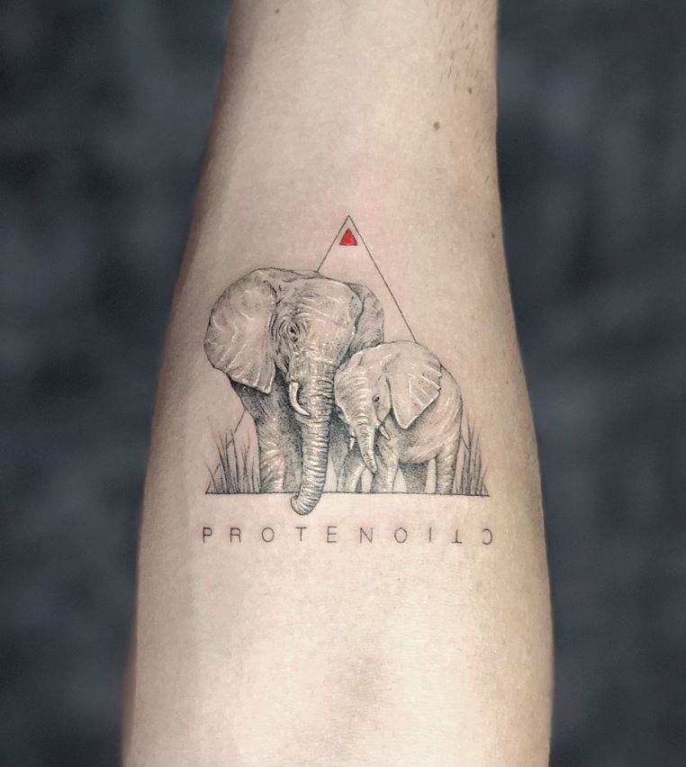 Tatouage Duo D'éléphant Et Triangle Avec Lettrage 