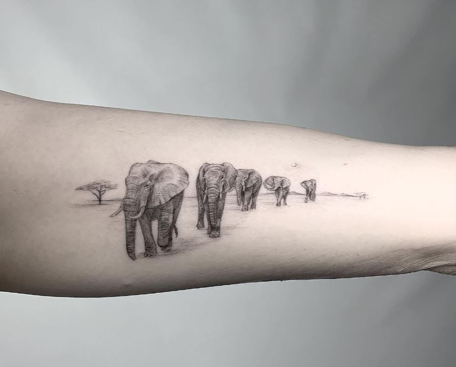 Tatouage Marche De Troupeau D'éléphants 