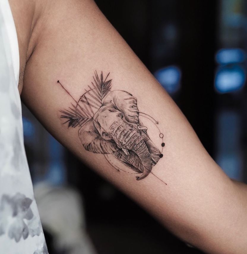 Tatouage éléphant Et Feuilles De Palmier