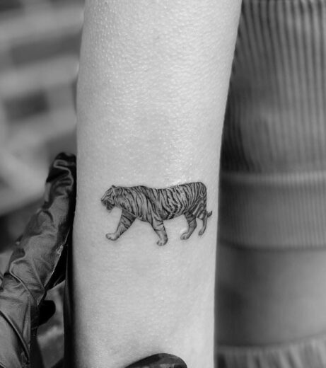 Tatouage Tigre Femme Discretnull