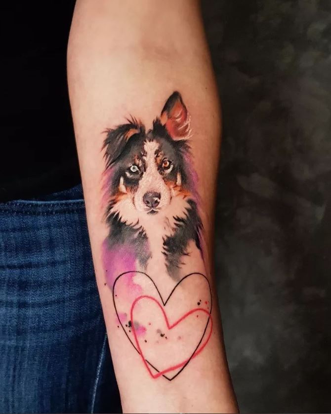  Tatouage Chien Border Collie Et Duo De Cœur 