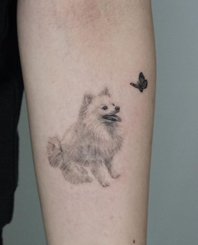 Tatouage Chien Poméranien Et Papillon 