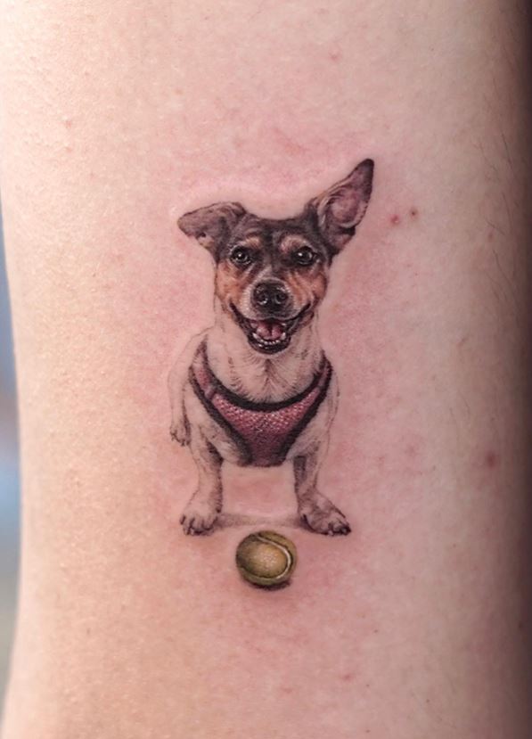 Tatouage Chien Jack Russell Et Balle De Tennis 