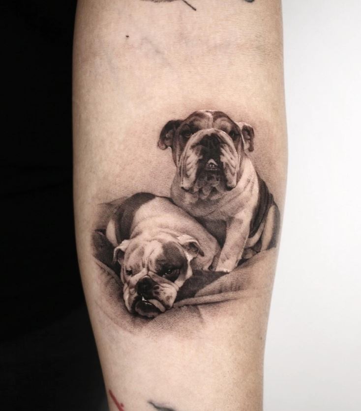 Tatouage Chien Duo De Bouledogue Anglais 