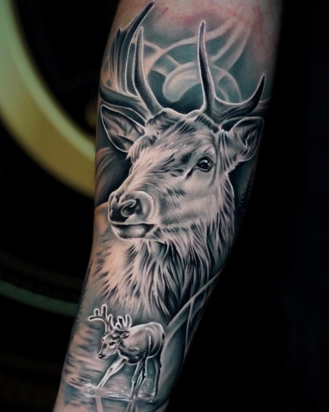 Tatouage Duo De Cerf Et émanations 