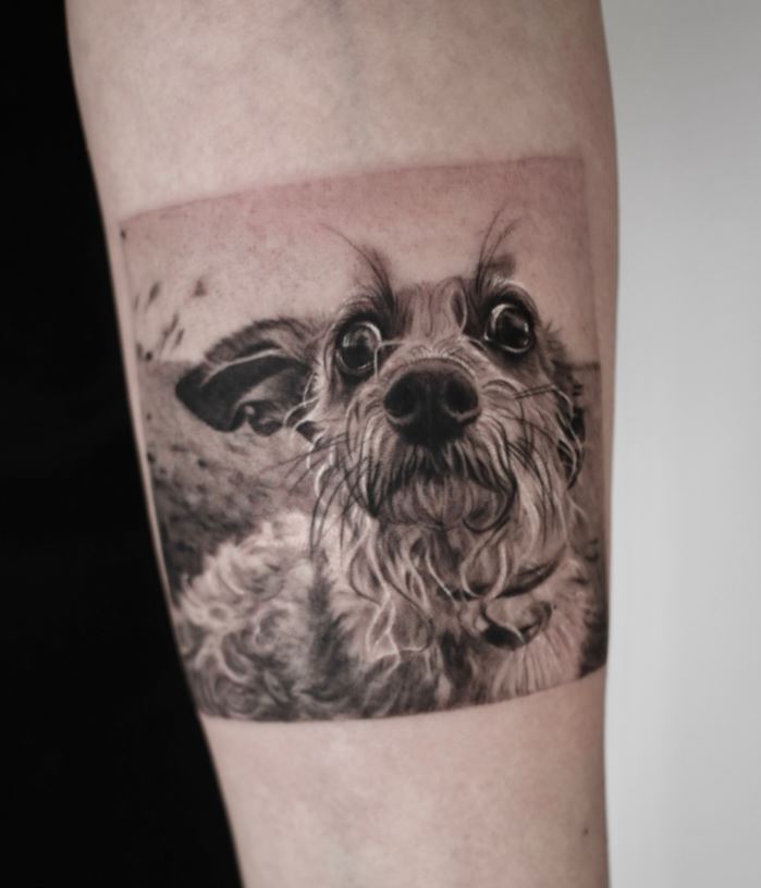 Tatouage Chien Aux Poils Mouillés 