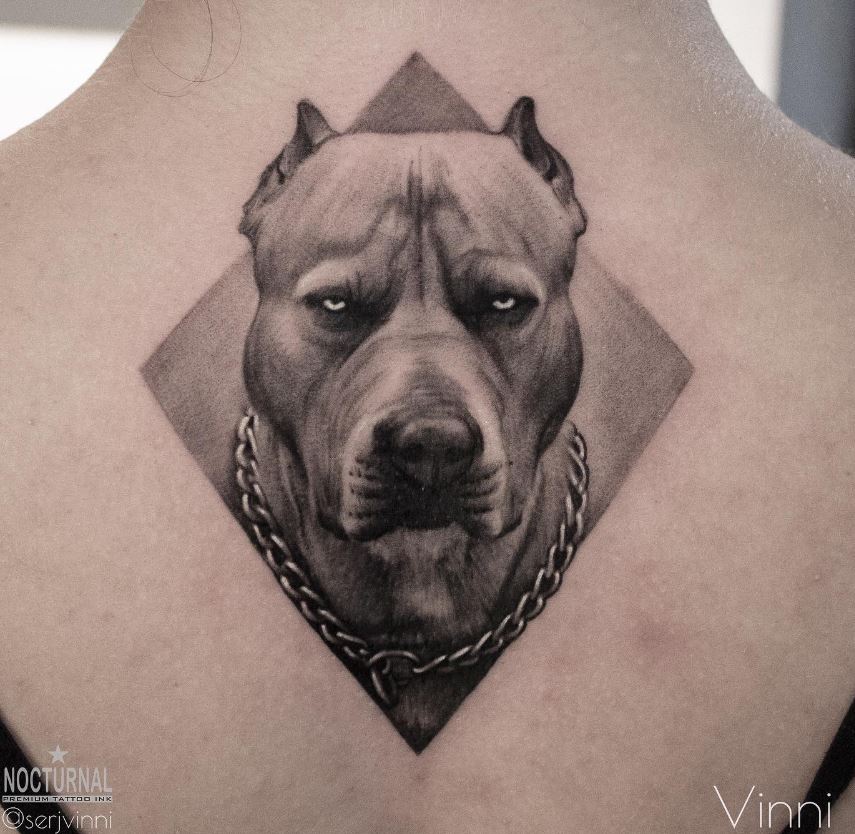 Tatouage Chien Portrait En Losange De Pitbull 