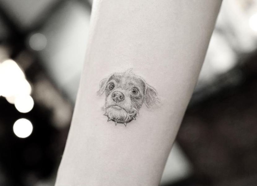 Tatouage Tête De Chiot De Devon Lee Carlson 