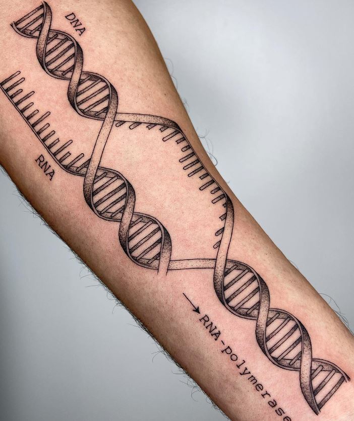 Tatouage Avant Bras Homme Transcription D'adn 