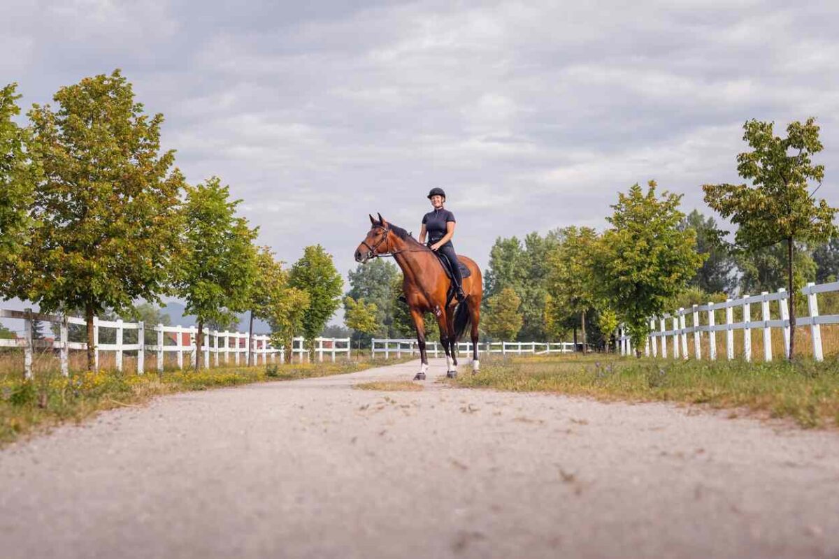 Choisir Materiel Equitation