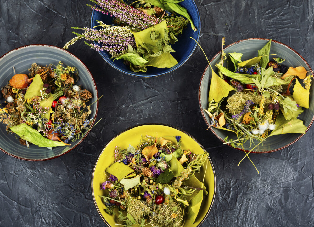 Recettes végétariennes